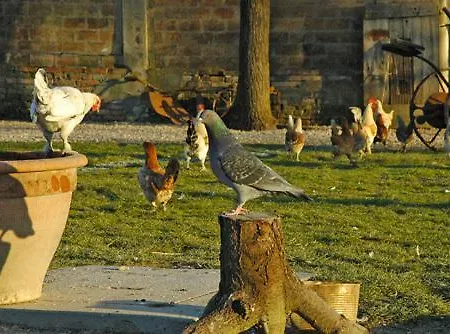 La Spagnera San Pietro in Vincoli