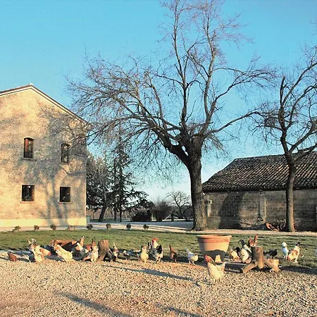 La Spagnera * San Pietro in Vincoli