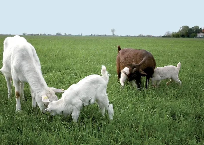 La Spagnera * San Pietro in Vincoli