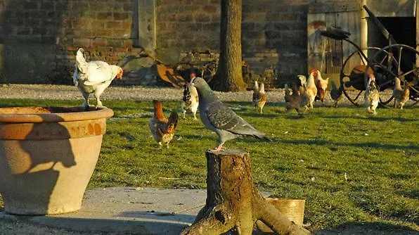 La Spagnera San Pietro in Vincoli